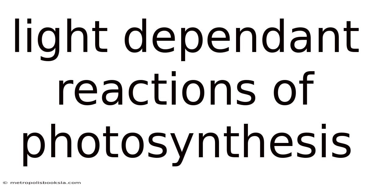 Light Dependant Reactions Of Photosynthesis
