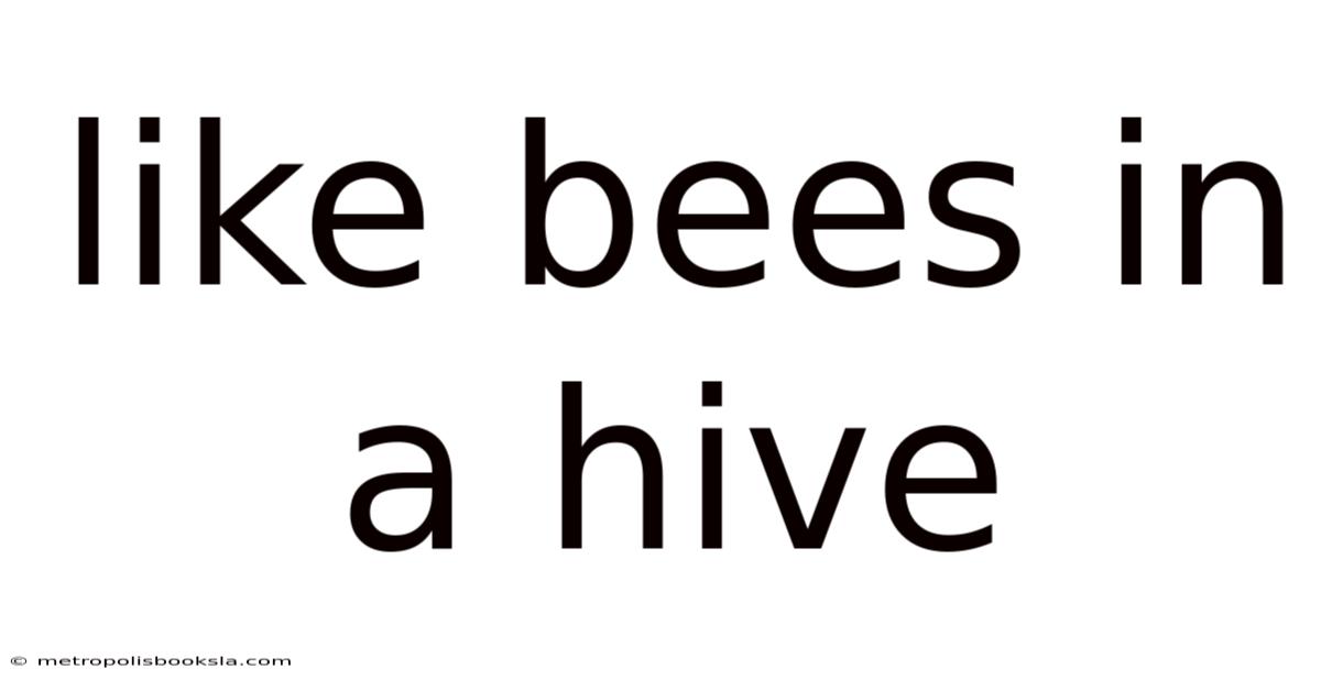 Like Bees In A Hive