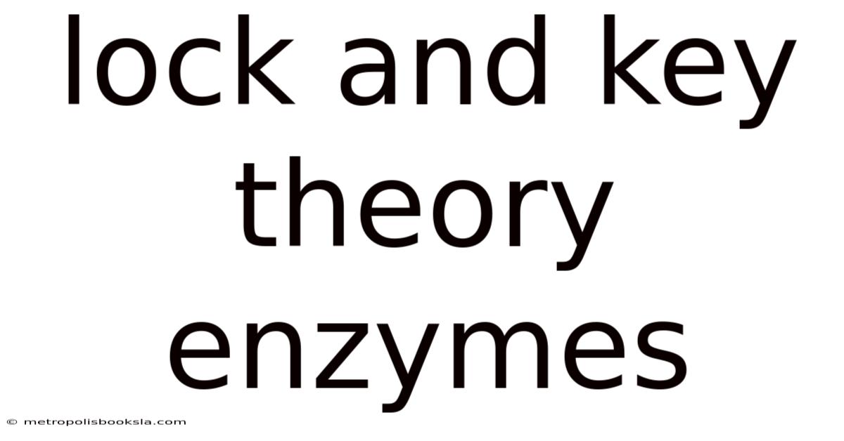 Lock And Key Theory Enzymes