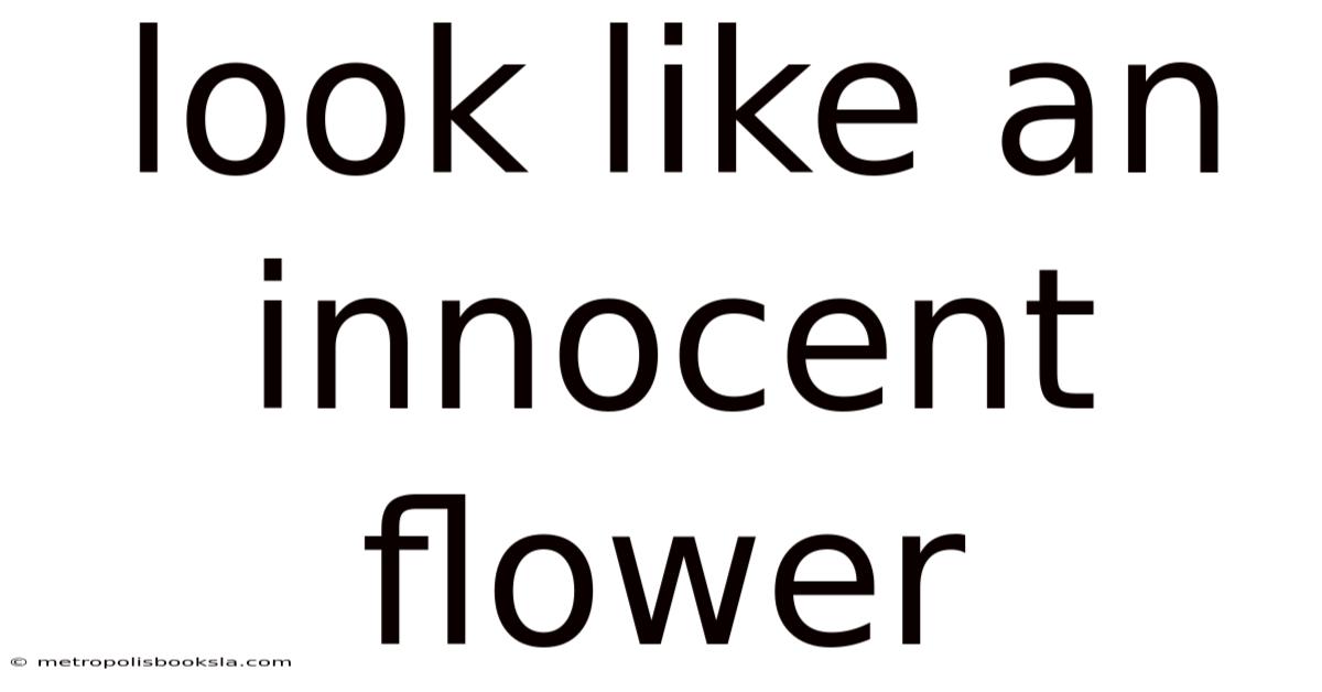 Look Like An Innocent Flower