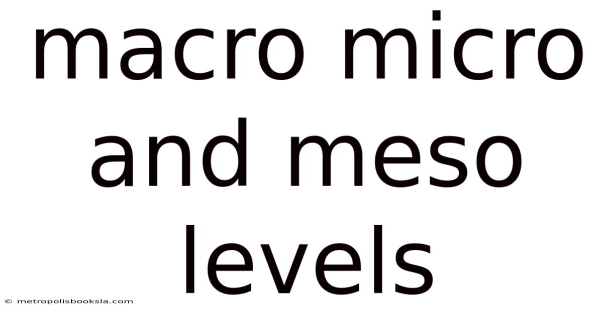 Macro Micro And Meso Levels