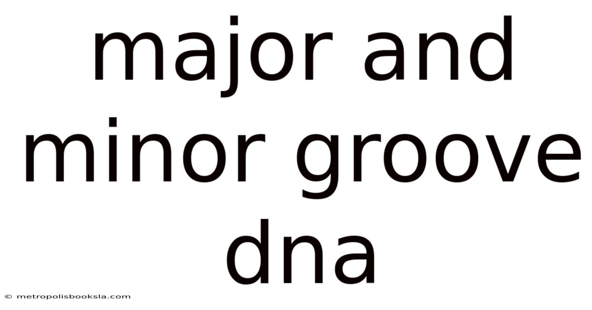 Major And Minor Groove Dna