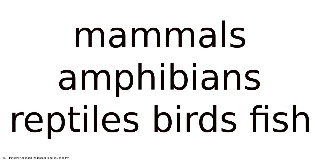 Mammals Amphibians Reptiles Birds Fish