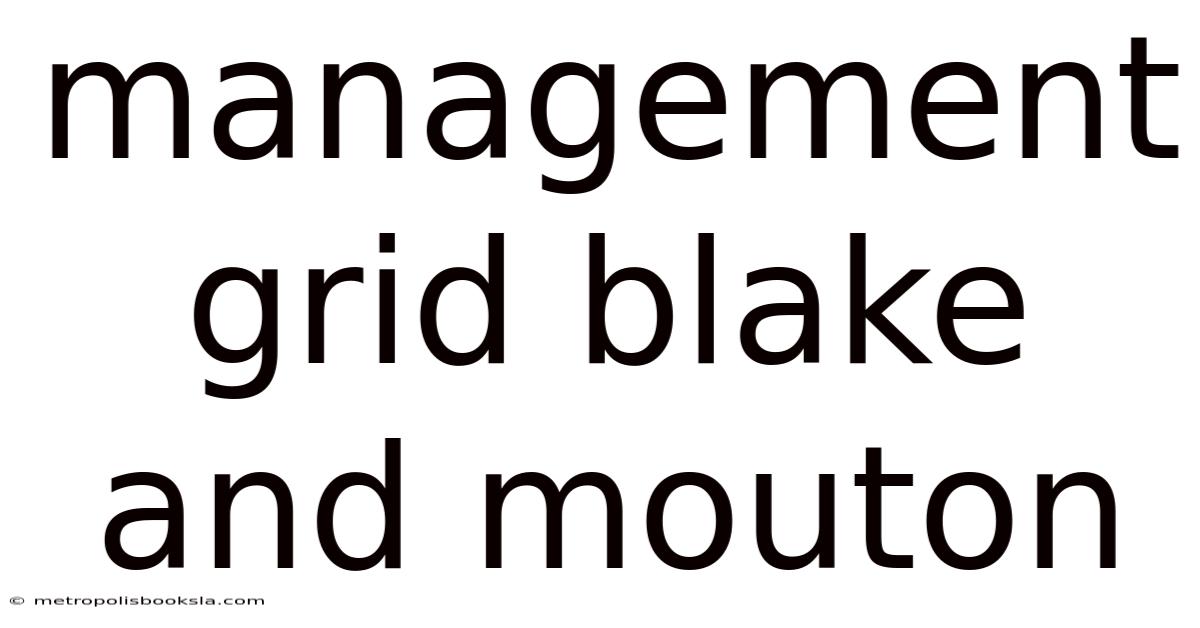 Management Grid Blake And Mouton