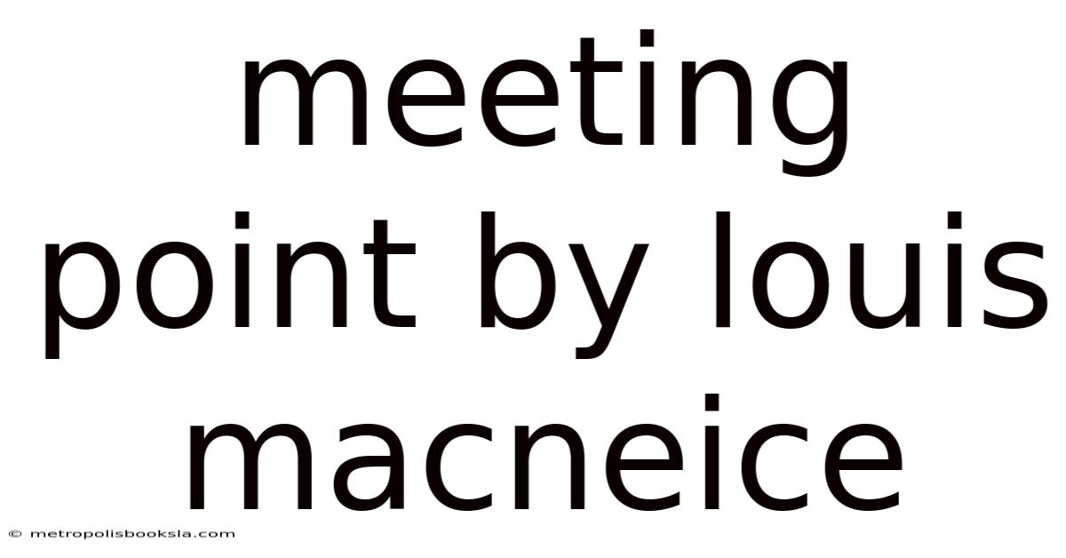 Meeting Point By Louis Macneice