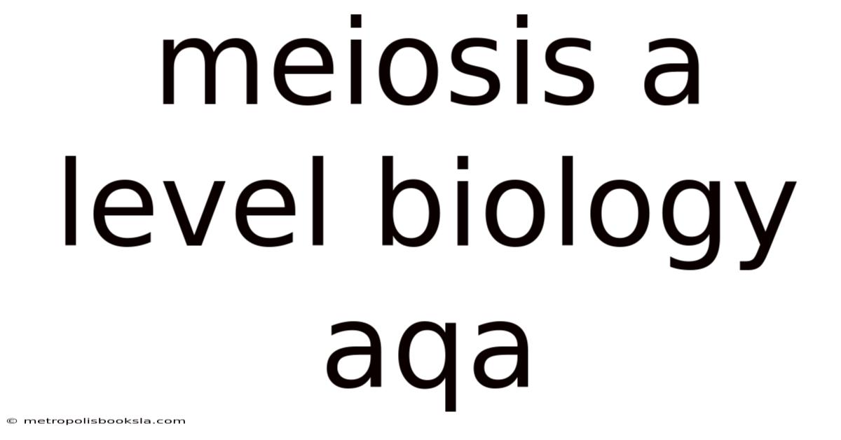 Meiosis A Level Biology Aqa