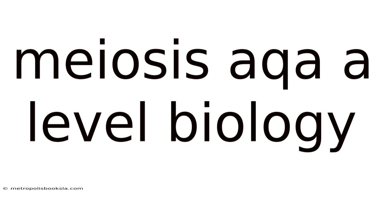 Meiosis Aqa A Level Biology