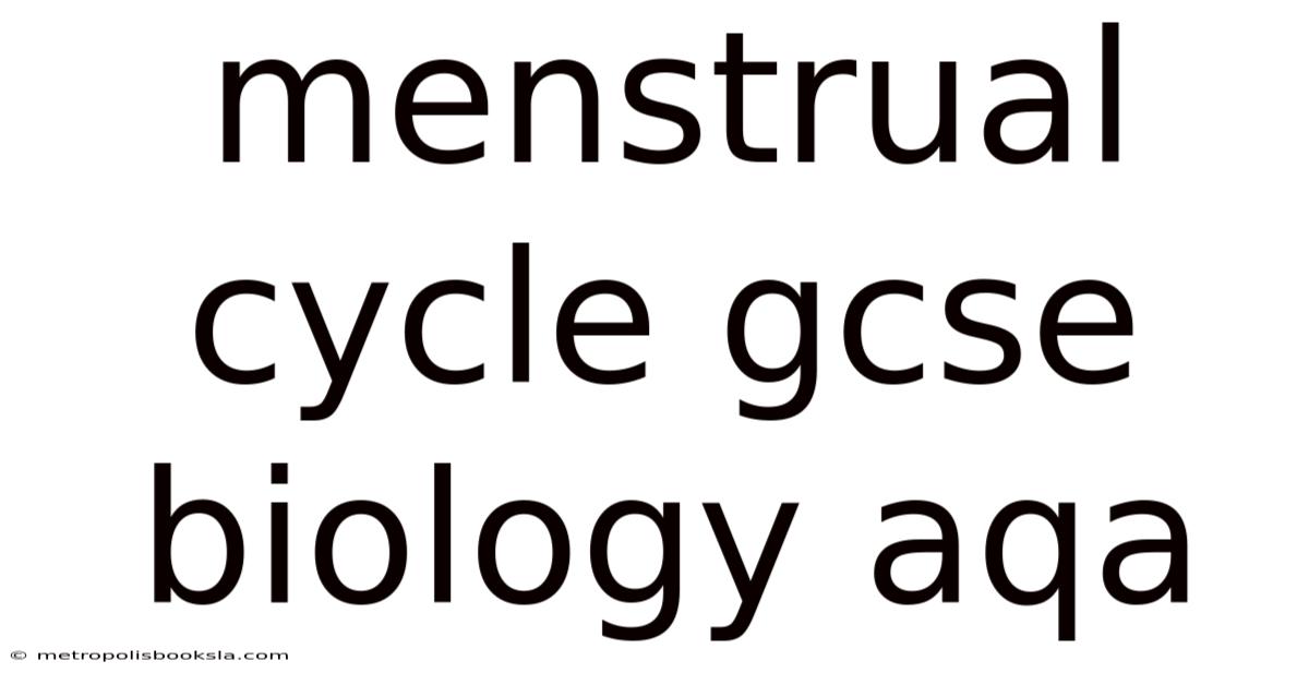 Menstrual Cycle Gcse Biology Aqa