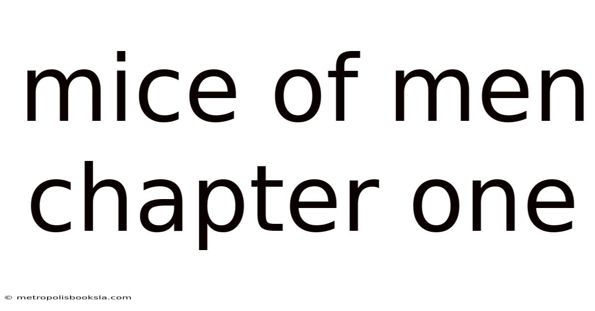 Mice Of Men Chapter One