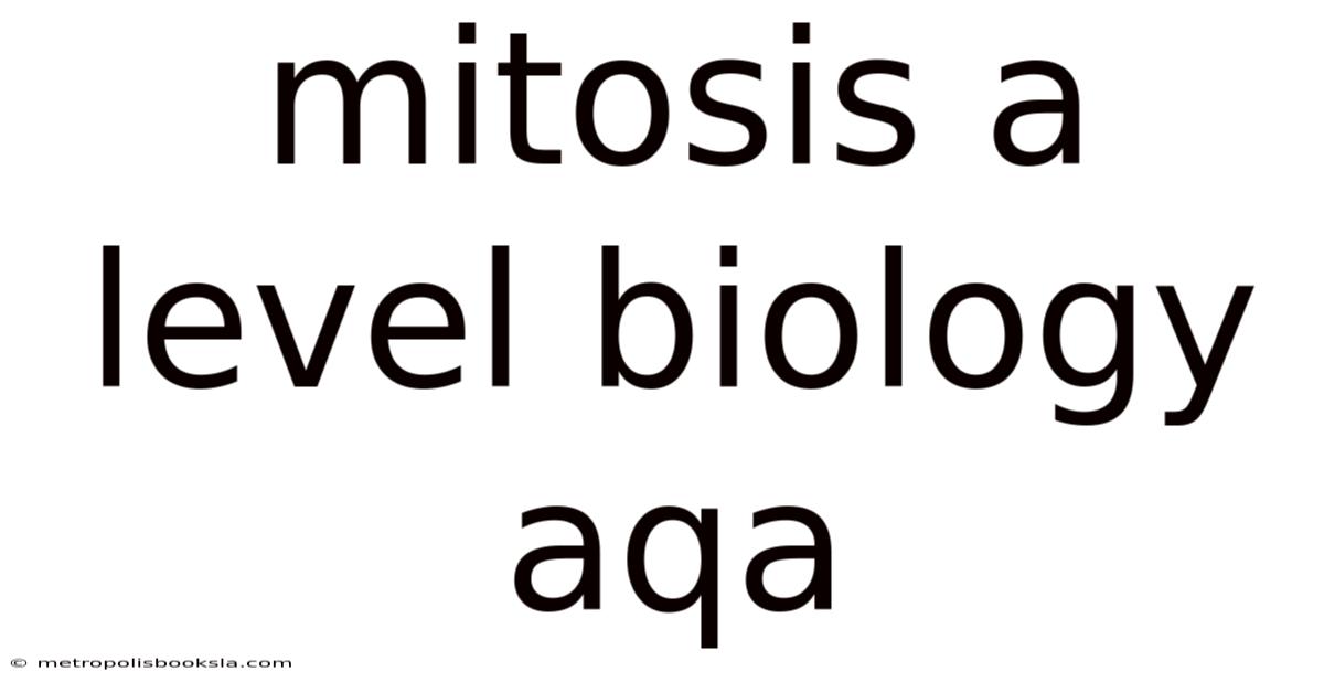 Mitosis A Level Biology Aqa