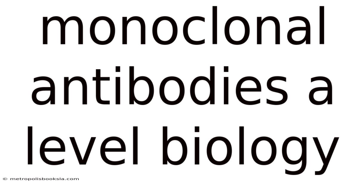 Monoclonal Antibodies A Level Biology
