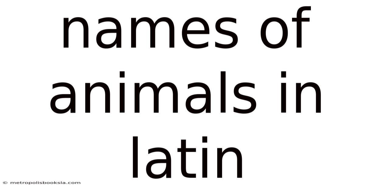 Names Of Animals In Latin