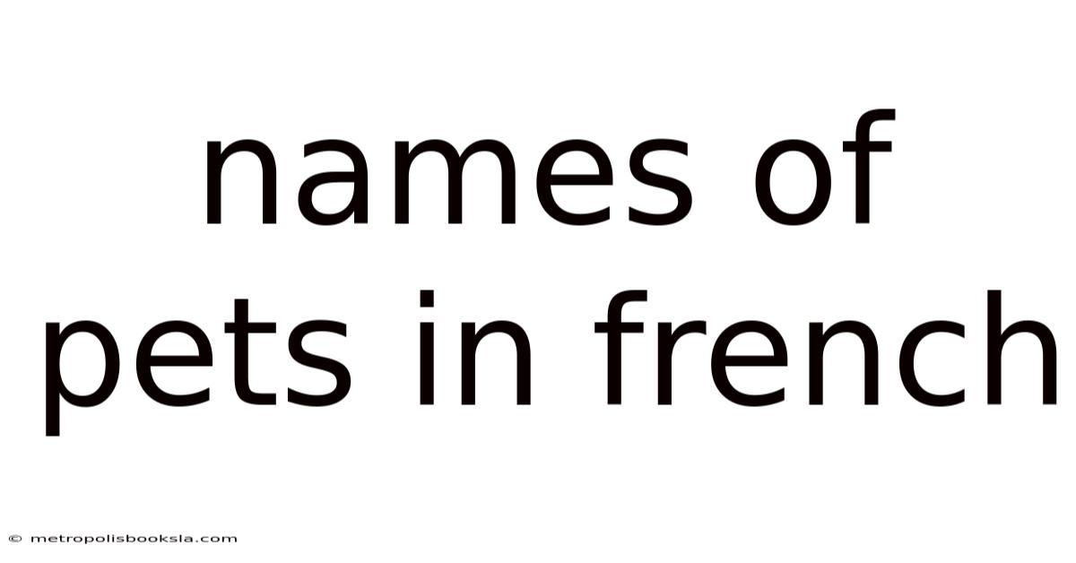 Names Of Pets In French