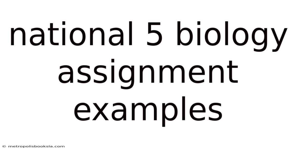 National 5 Biology Assignment Examples