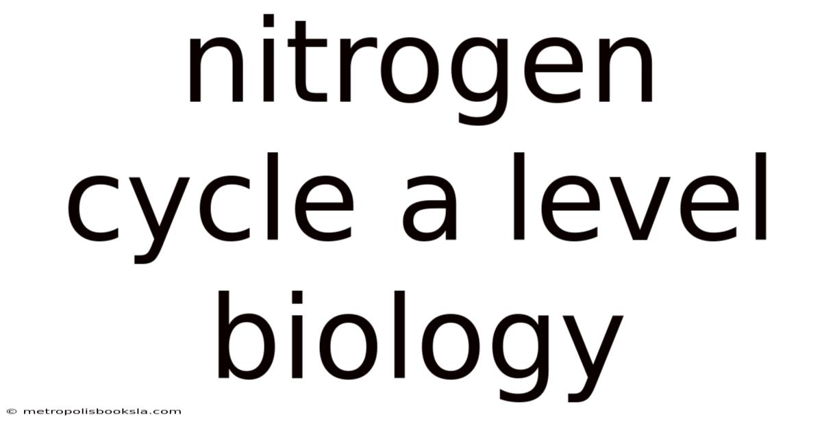 Nitrogen Cycle A Level Biology