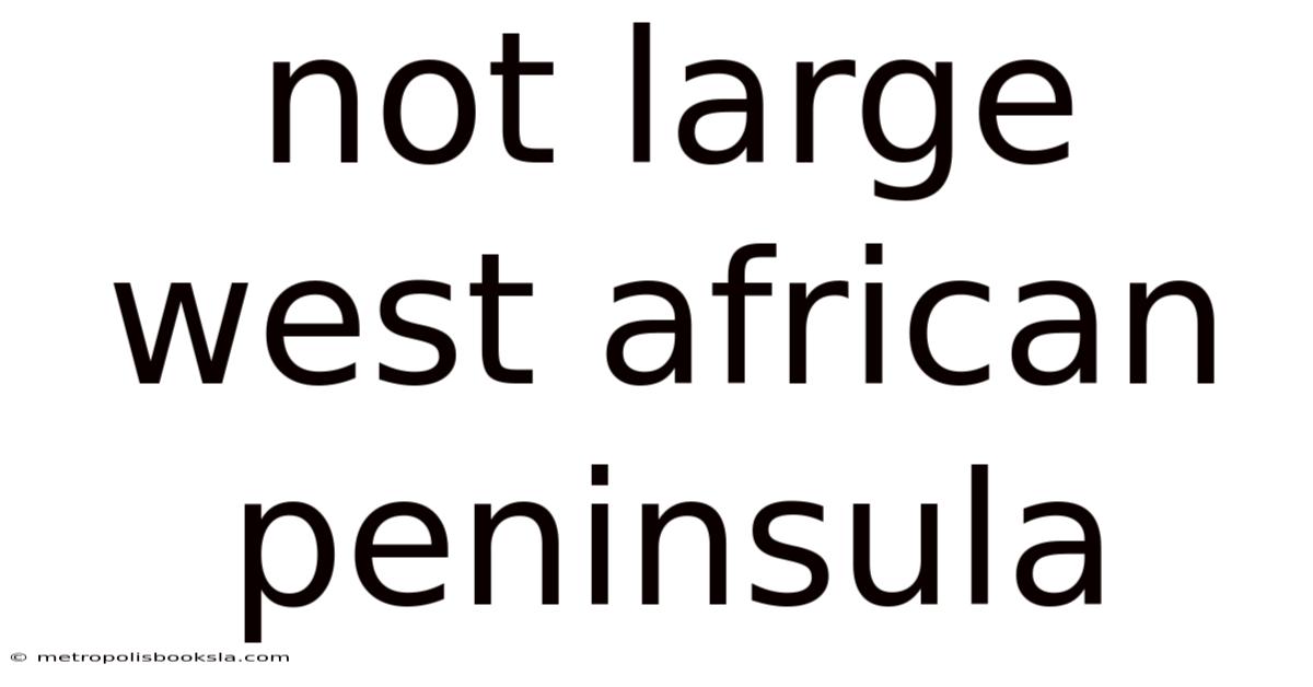 Not Large West African Peninsula