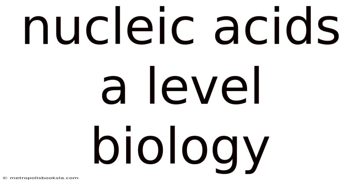 Nucleic Acids A Level Biology