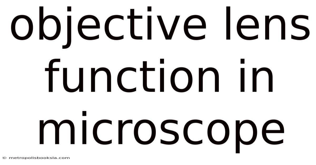 Objective Lens Function In Microscope