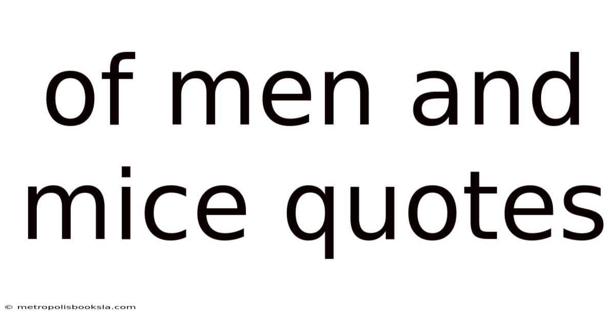 Of Men And Mice Quotes