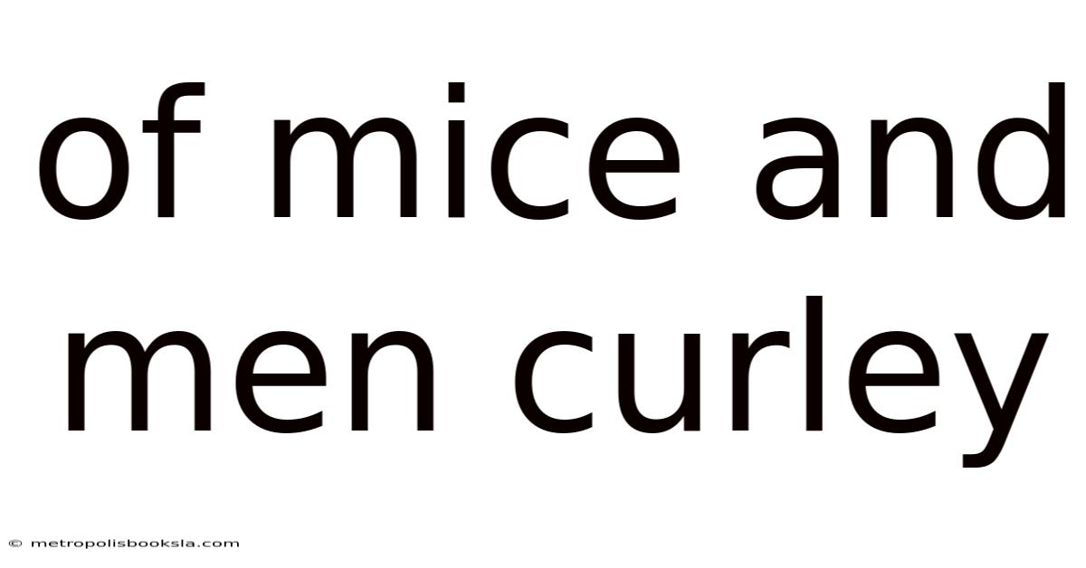 Of Mice And Men Curley