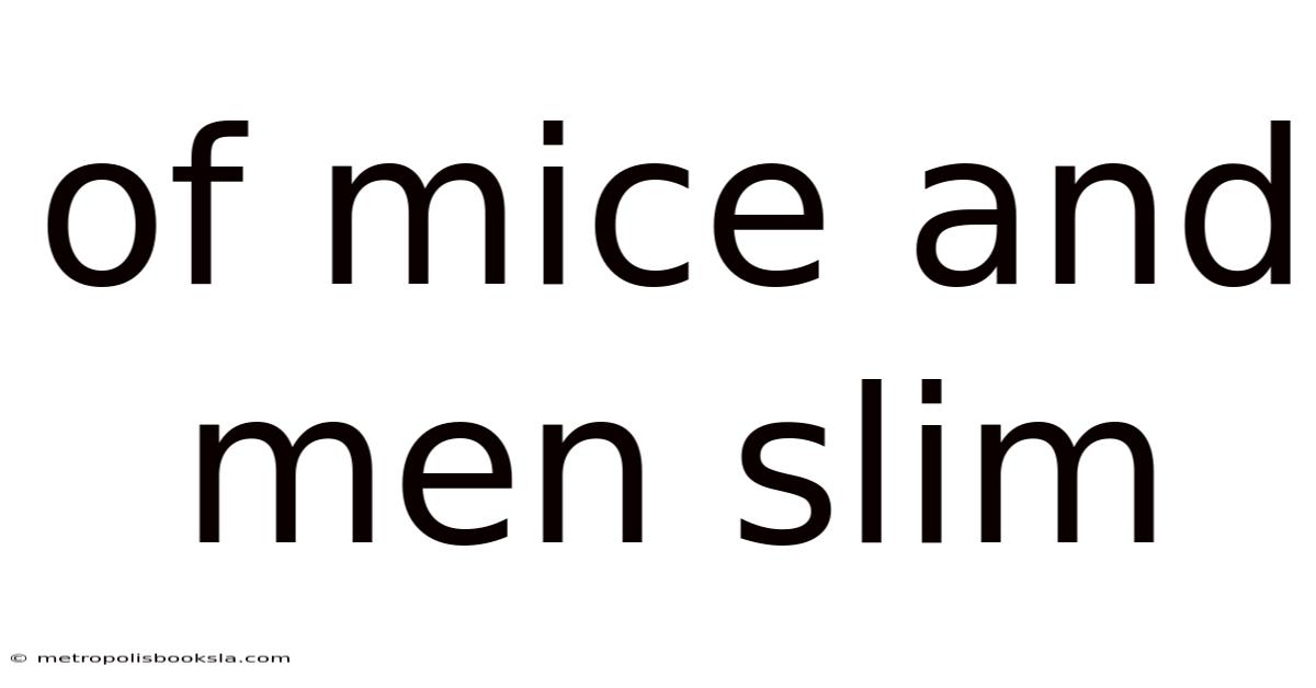 Of Mice And Men Slim