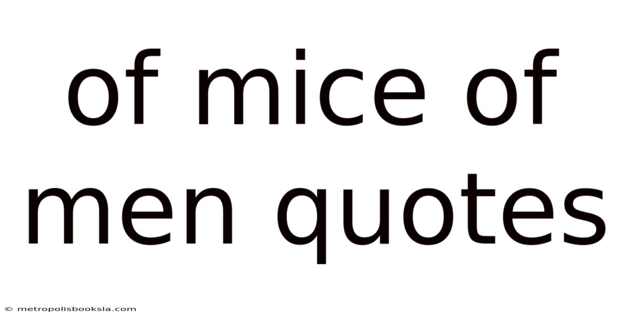 Of Mice Of Men Quotes