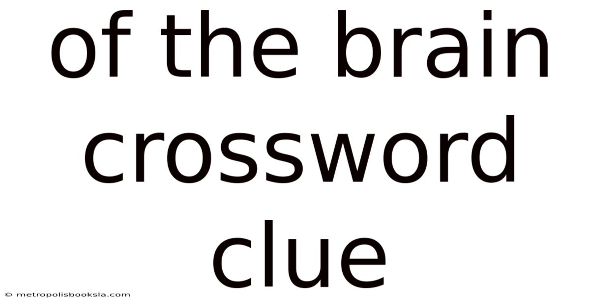 Of The Brain Crossword Clue