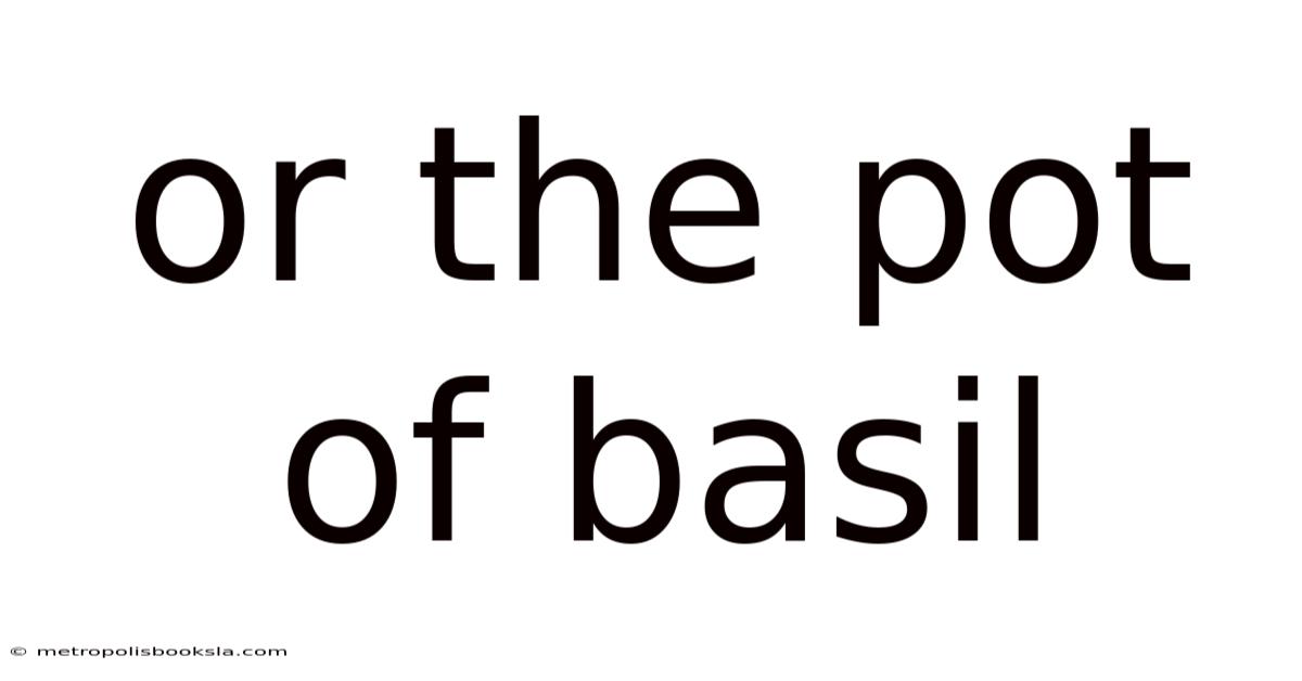 Or The Pot Of Basil