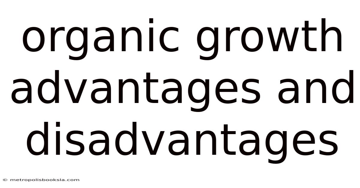 Organic Growth Advantages And Disadvantages