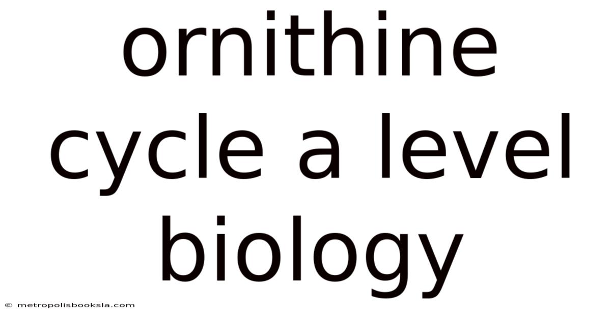 Ornithine Cycle A Level Biology