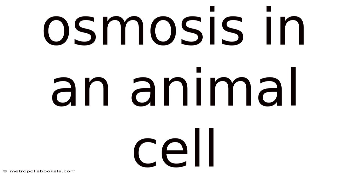 Osmosis In An Animal Cell