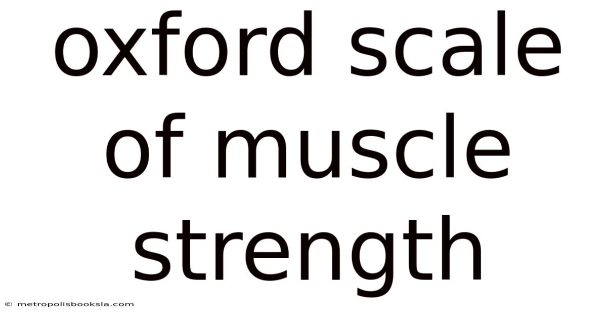 Oxford Scale Of Muscle Strength