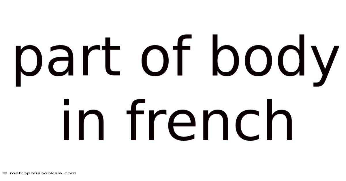 Part Of Body In French