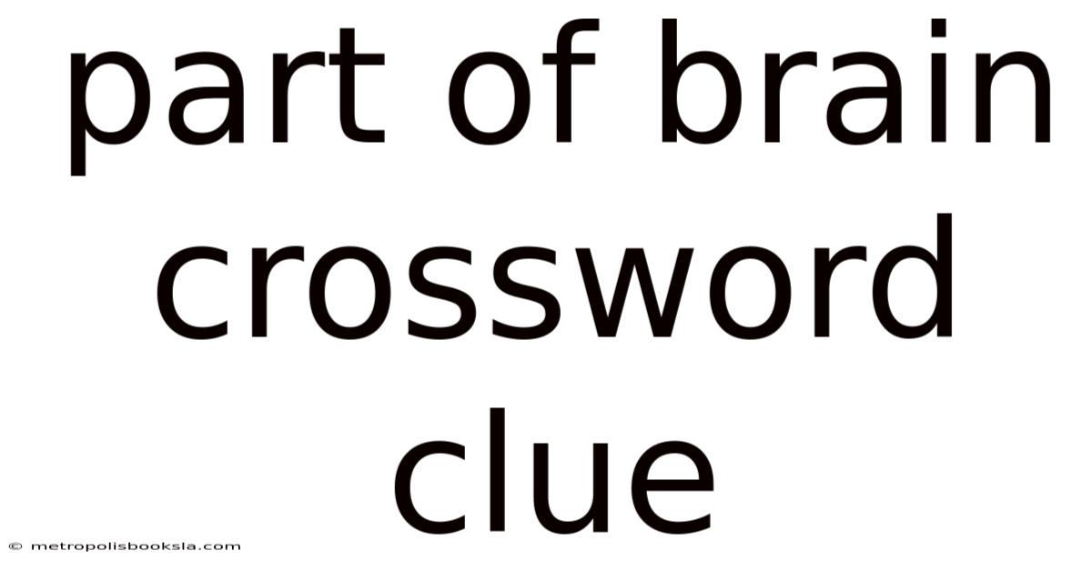 Part Of Brain Crossword Clue