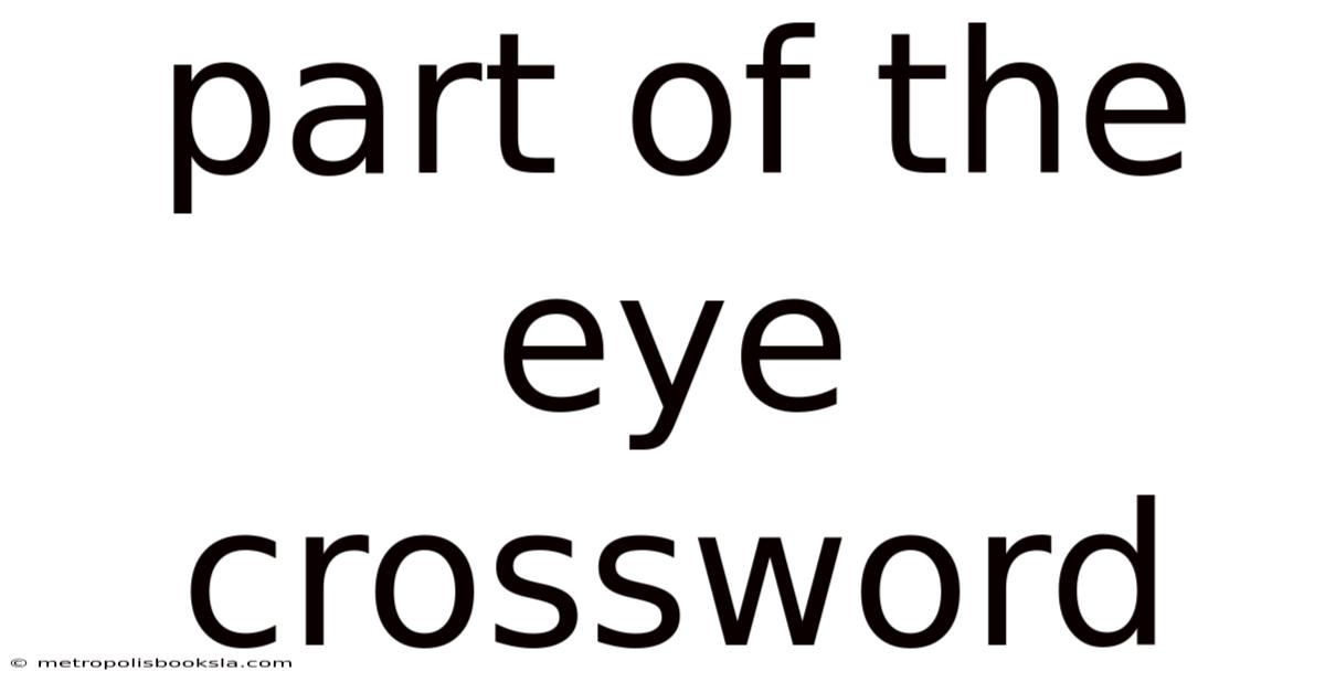 Part Of The Eye Crossword
