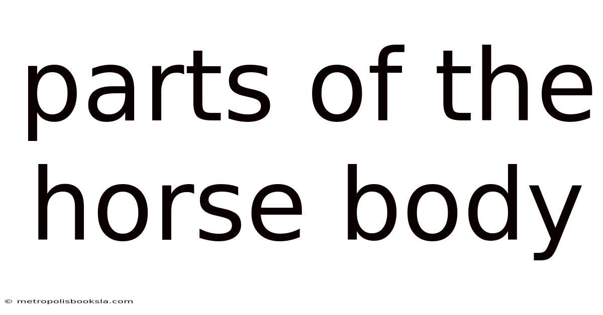 Parts Of The Horse Body