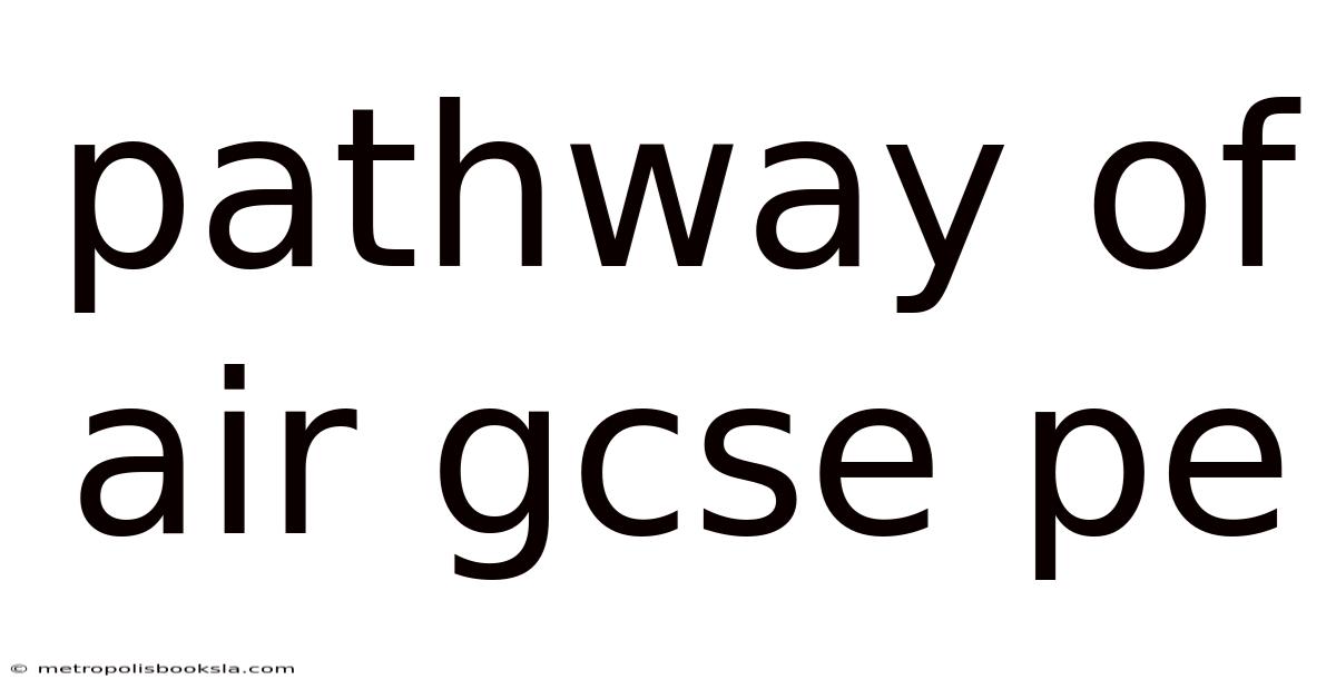 Pathway Of Air Gcse Pe