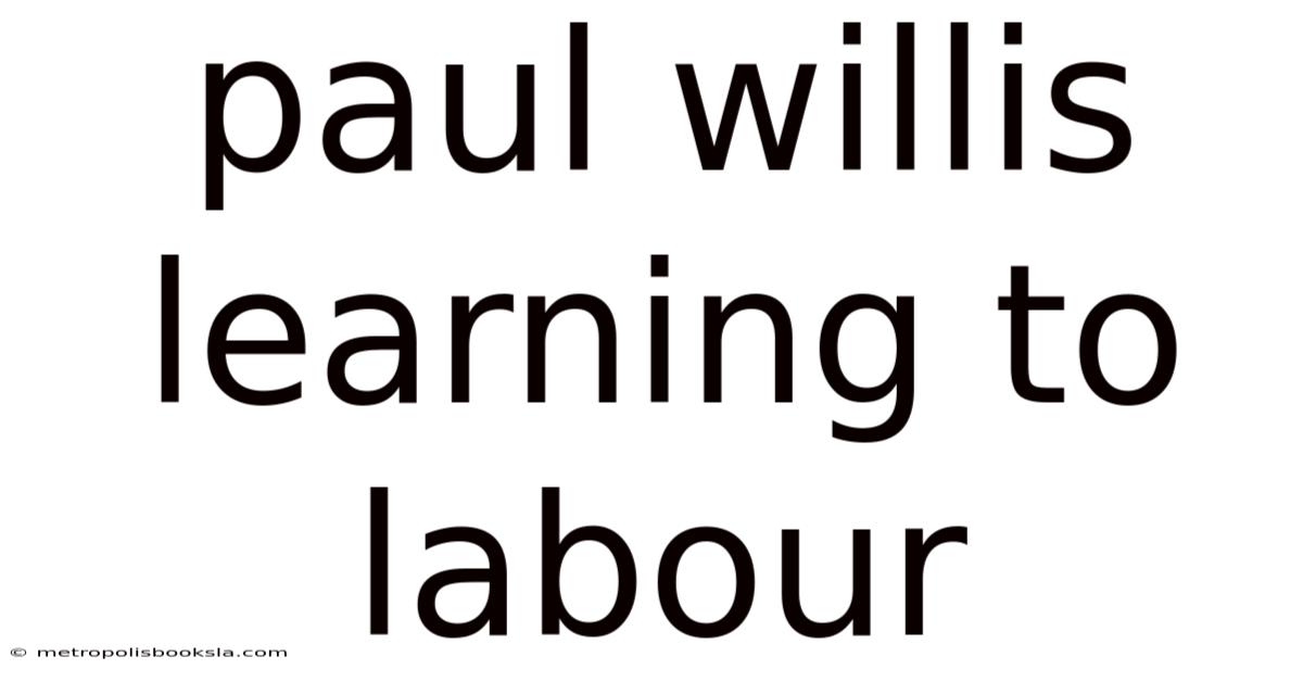 Paul Willis Learning To Labour