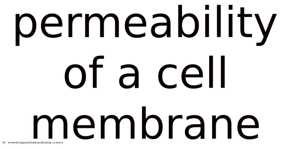 Permeability Of A Cell Membrane