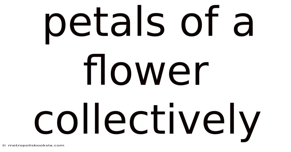 Petals Of A Flower Collectively