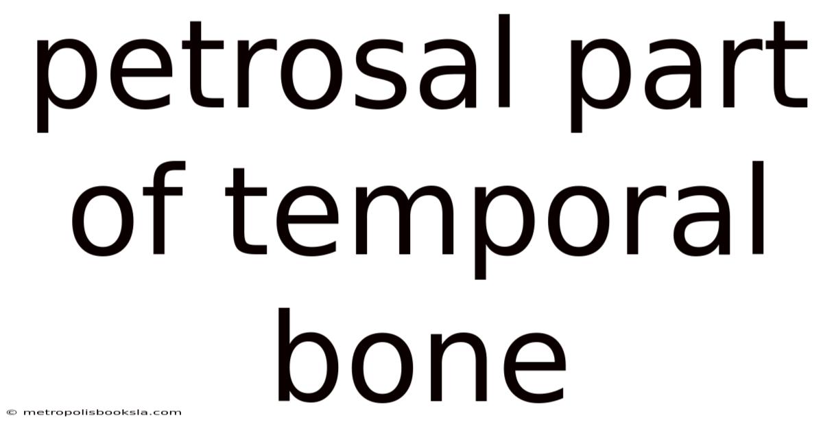 Petrosal Part Of Temporal Bone