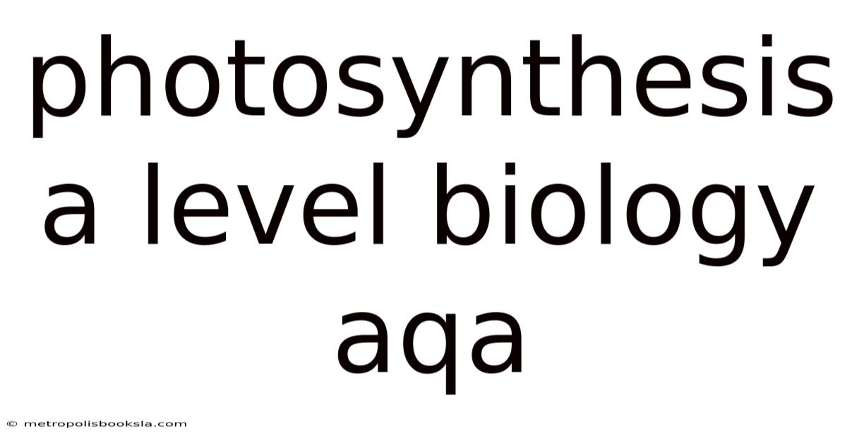 Photosynthesis A Level Biology Aqa