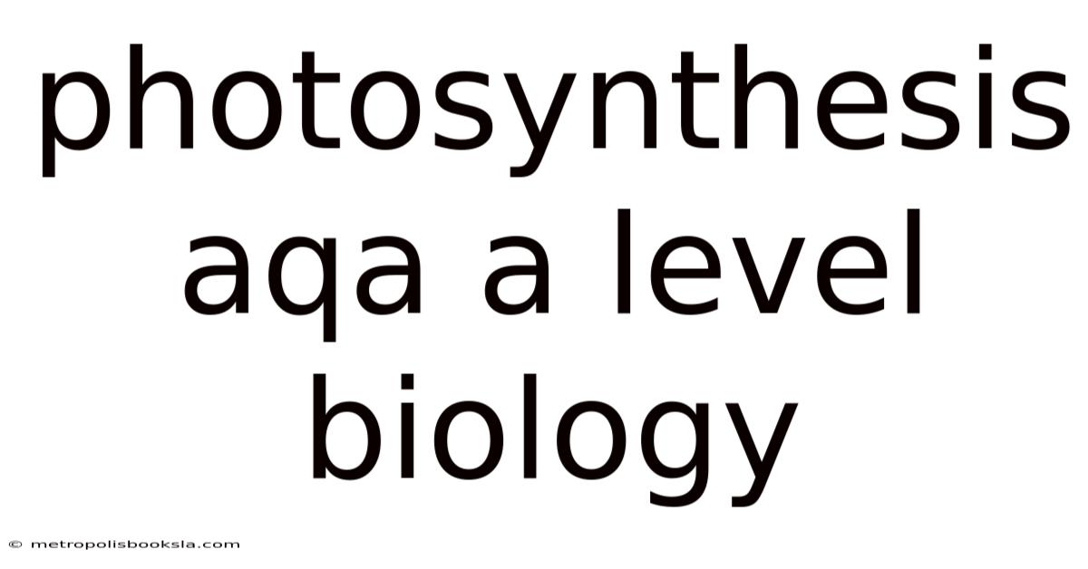 Photosynthesis Aqa A Level Biology