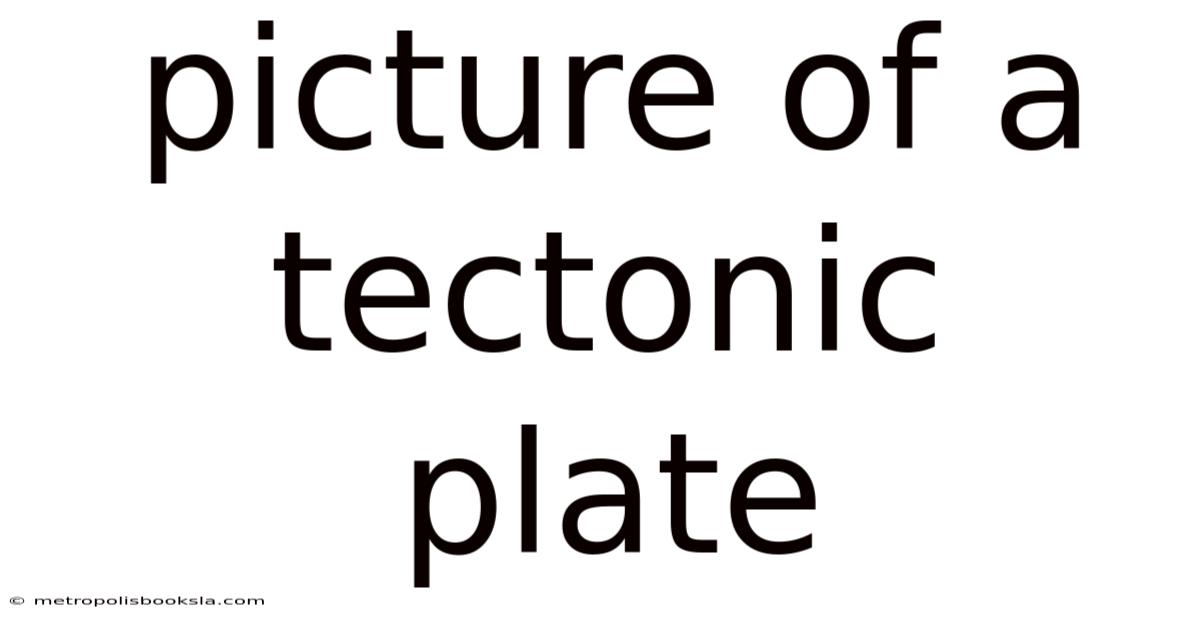 Picture Of A Tectonic Plate