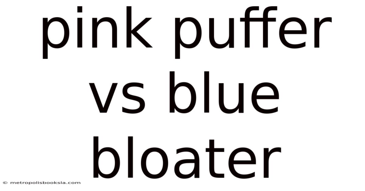 Pink Puffer Vs Blue Bloater