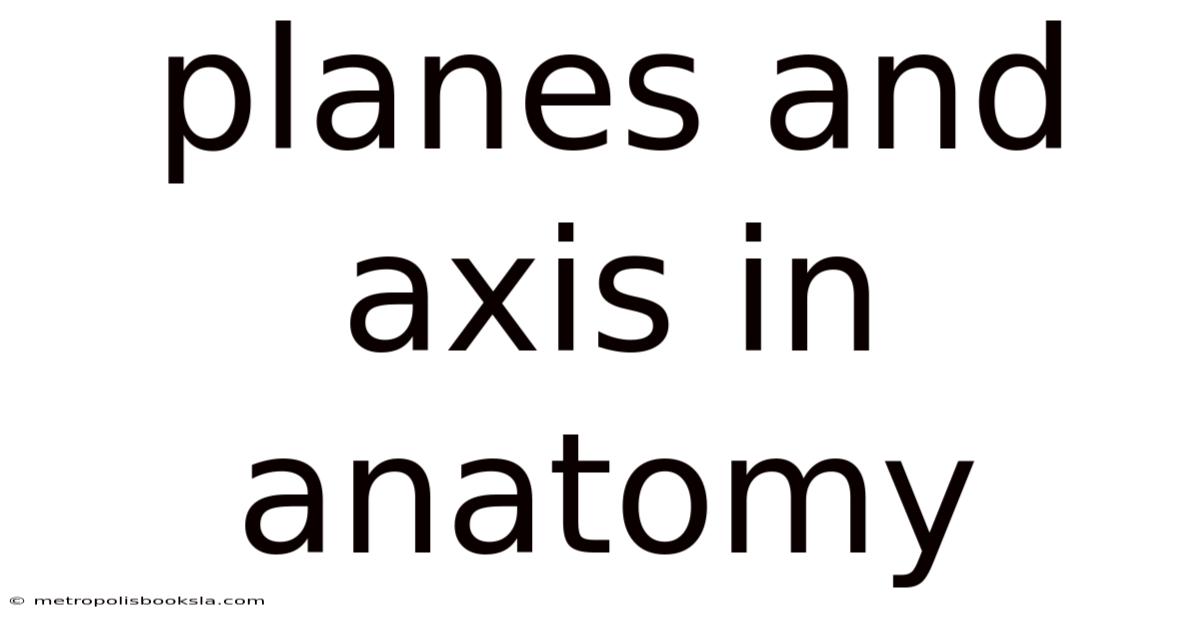 Planes And Axis In Anatomy