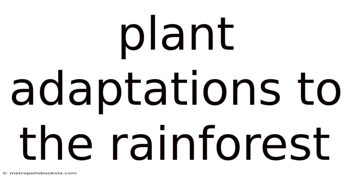 Plant Adaptations To The Rainforest