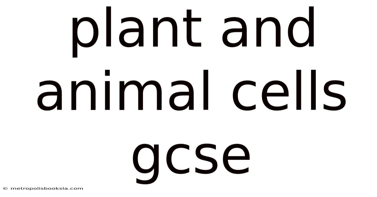 Plant And Animal Cells Gcse