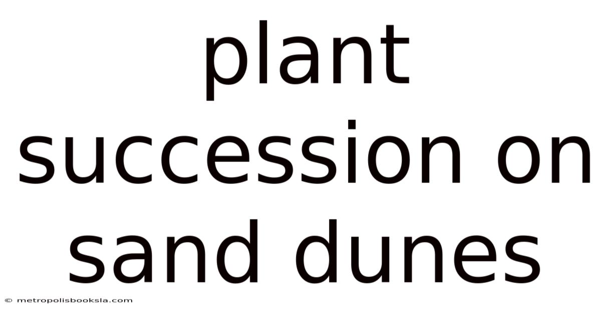 Plant Succession On Sand Dunes