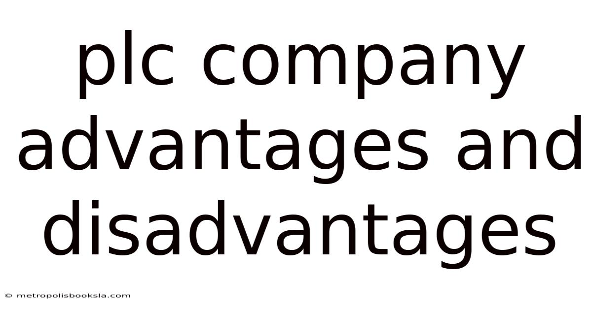 Plc Company Advantages And Disadvantages